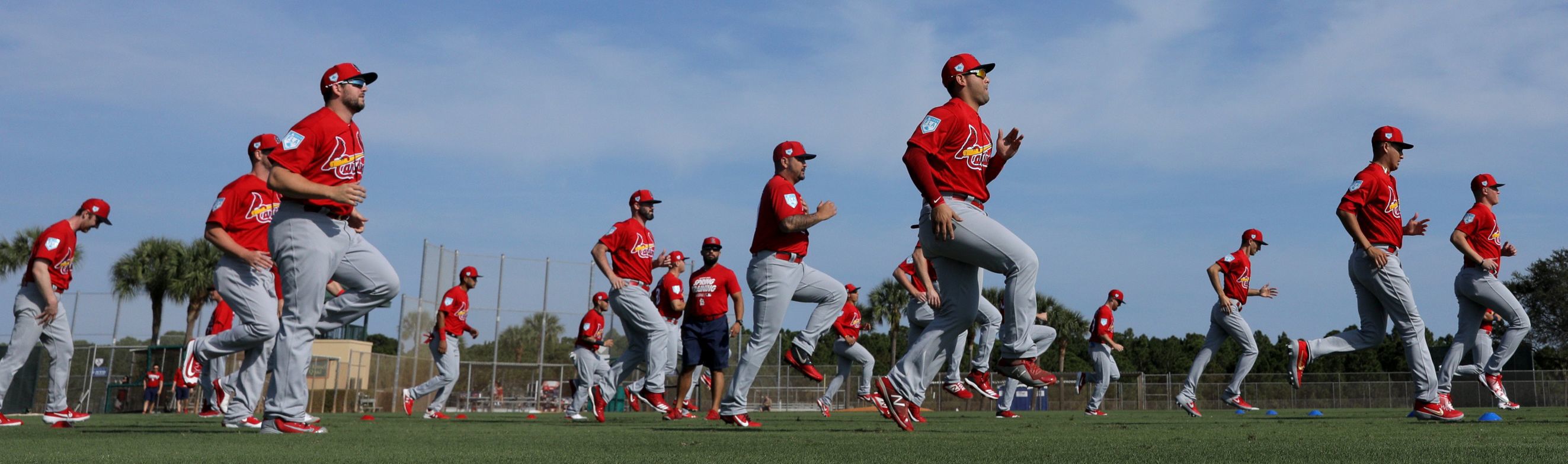 2019 Cardinals spring training